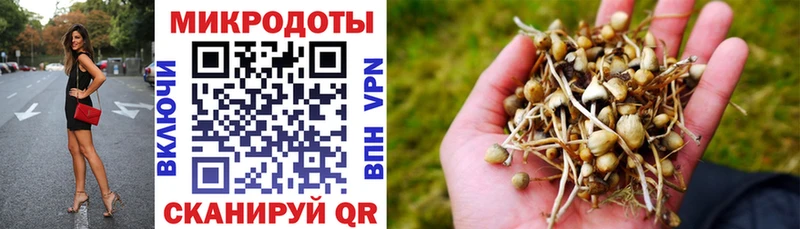 Псилоцибиновые грибы ЛСД  shop формула  Городище  где можно купить  
